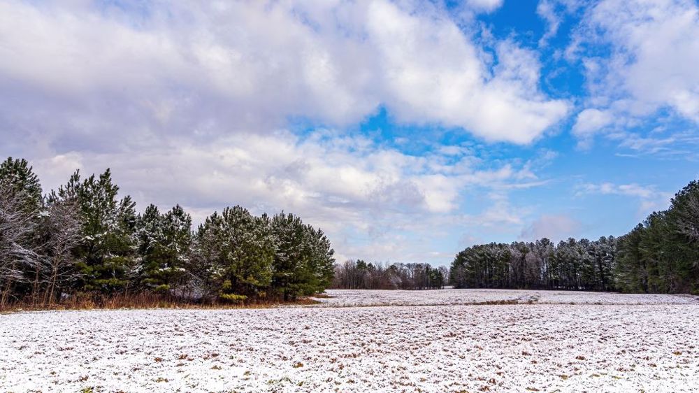 Refonder le système d'assurance face au changement climatique. (©wileydoc de Pixabay)