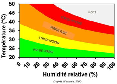 Stress thermique chez la vache laitière