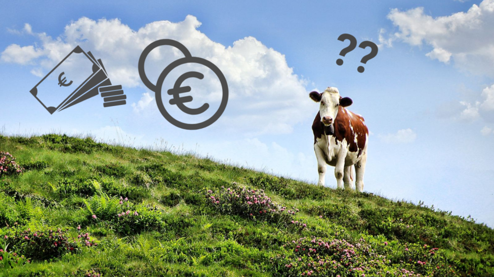 L'amélioration de la loi Egalim et la future Pac peuvent constituer des leviers d'amélioration des revenus pour les éleveurs. (©Terre-net Média/Pixabay)