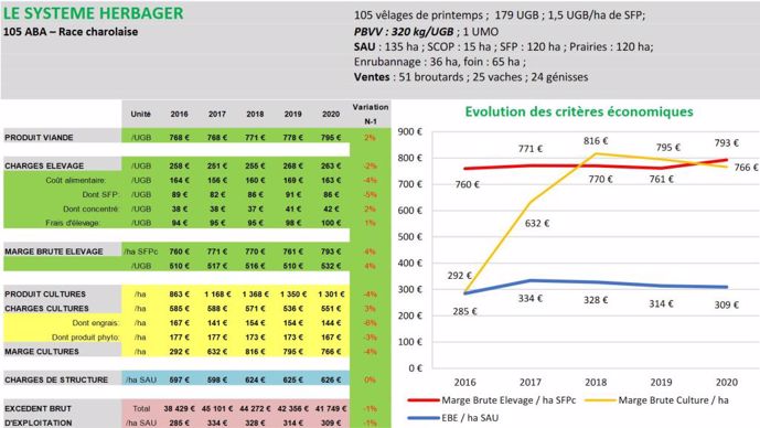 Résultats économiques 2020 d'un système bovin viande herbager des Hauts-de-France