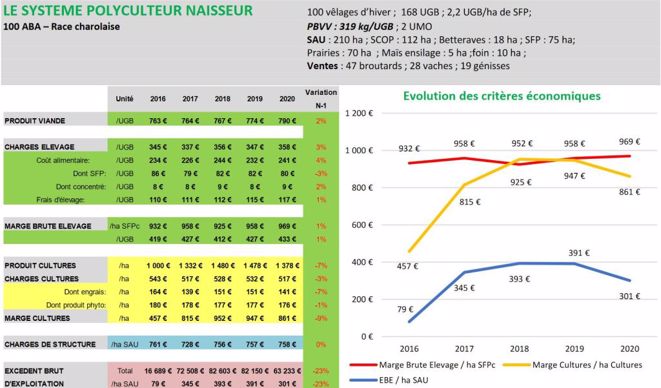 Résultats économiques 2020 d'un système bovin viande naisseur des Hauts-de-France