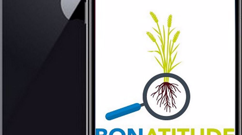 Outil d'aide à la décision BonAtitude (©Certis)