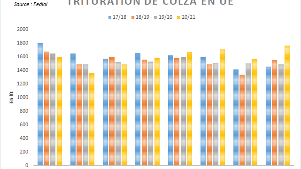 Trituration européenne de colza.