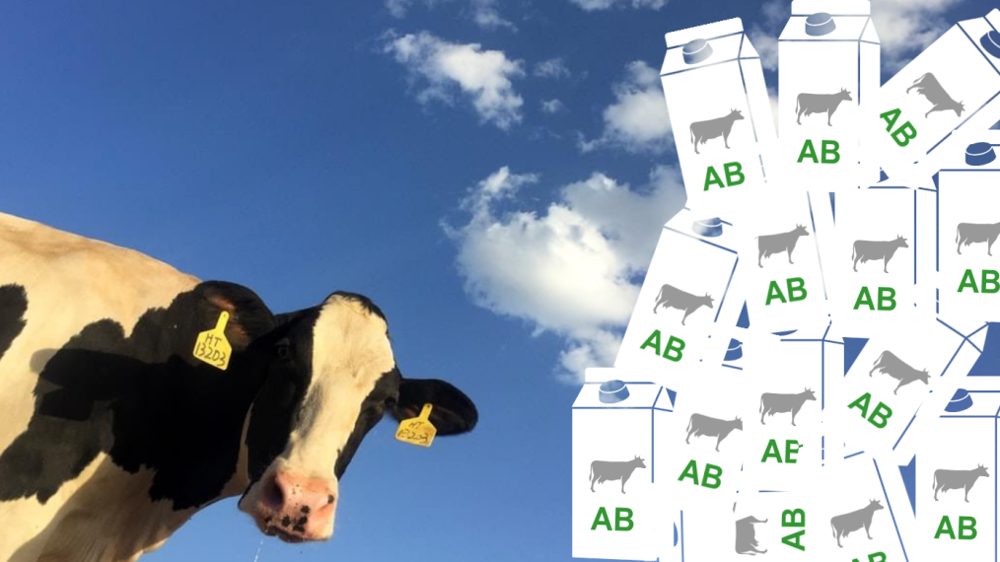 La consommation de produits laitiers biologiques progresse moins vite que la production. (©Terre-net Média/Infogram)
