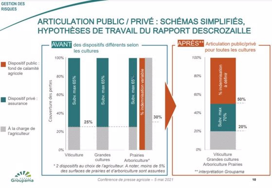 Hypothèses de travail du rapport Descrozaille sur l'articultion public/privé (interprétation Groupama)