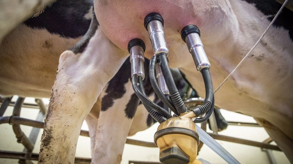 Gènes Diffusion lance son programme de génétique haute performance. (©CC)