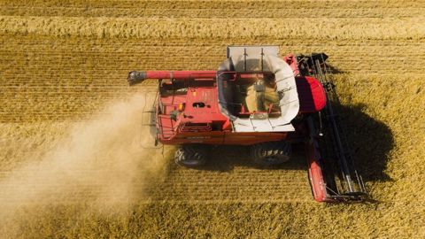 Selon le Conseil international des céréales, la hausse sensible de la production de blé en Europe, en Russie et en Ukraine contribueront à une « énorme récolte mondiale » en 2021-2022. (©Pixabay)