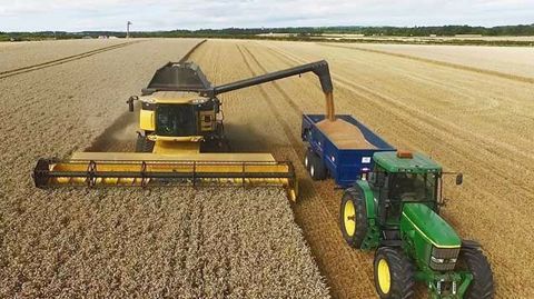 L'Ukraine produirait 27,7 Mt de blé et 35,5 Mt de maïs en 2021. (©Terre-net Média) L'Ukraine produirait 27,7 Mt de blé et 35,5 Mt de maïs en 2021. (©Terre-net Média)
