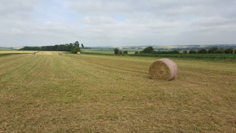 La saison des foins 2021 est lancée ! (©Terre-net Média)