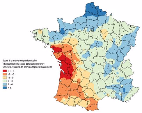 Ecart (en jours) d’apparition du stade épiaison du blé tendre en 2021 par rapport à la moyenne pluriannuelle 2001-2020 - variétés et dates de semis adaptées localement