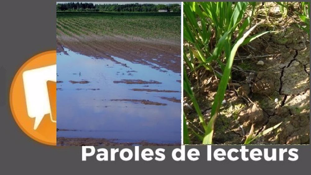  « Pourquoi dépenser tant de matière grise à réfléchir à l'assurance climatique, sachant que personne n'a le pognon qu'il faudrait y mettre, pas plus le privé que l'État ? », s'interroge jpg .(©Pixabay, Terre-net Média // Création Terre-net Média)