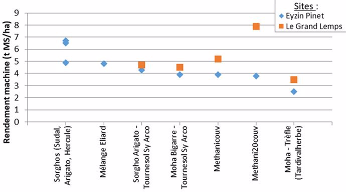 Rendement (en t MS/ha) de différentes espèces de CIVE d’été évaluées en 2019 sur deux sites d’essais de Rhône-Alpes