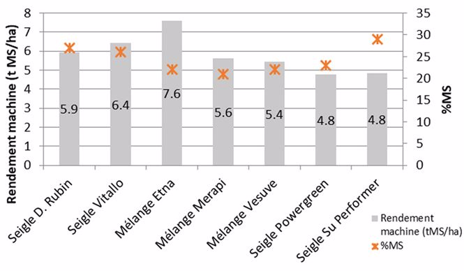  Rendements (en t MS/ha – échelle de gauche) et proportion de matière sèche (en % MS – échelle de droite) des CIVE d’hiver testées durant la campagne 2019/20 à Grenay (38)