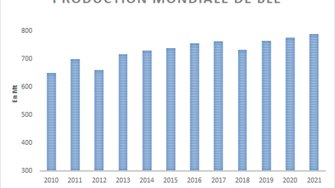 Production mondiale de blé. Production mondiale de blé.