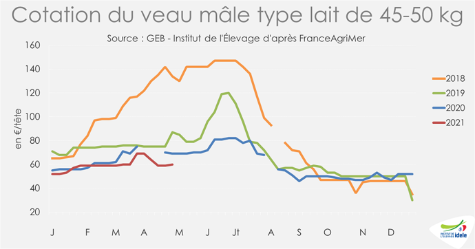 Cotation du veau mâle type lait