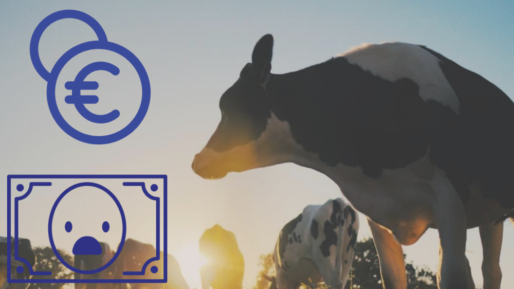 D'après la journaliste Caroline Trouillet, dans la Pac actuelle, les grands groupes peuvent bénéficier d'importantes aides à l'investissement avec peu de contreparties. (©Terre-net Média)