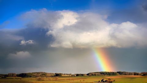 Les pluies améliorent les conditions de culture avant le retour du beau temps. (©Pixabay) Les pluies améliorent les conditions de culture avant le retour du beau temps. (©Pixabay)