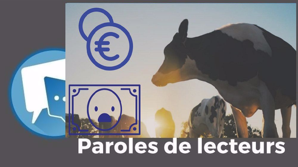 « Toutes ces magouilles des coops, industriels privés, banques et Fnsea pour plumer les paysans... », déplore tintin. (©Terre-net Média)