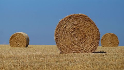 L'été 2021 s'annonce sec. (©Pixabay) L'été 2021 s'annonce sec. (©Pixabay)