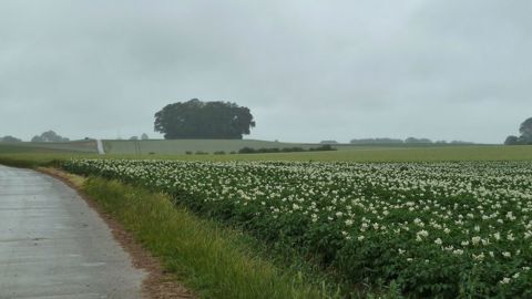 Le mois de mai à renoué avec la pluie. (©Pixabay) Le mois de mai à renoué avec la pluie. (©Pixabay)
