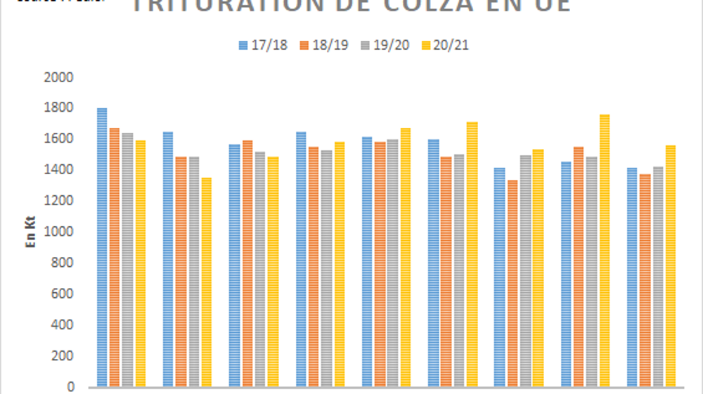 Trituration européenne de colza.