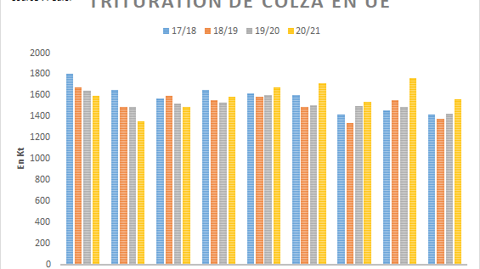 Trituration européenne de colza. Trituration européenne de colza.