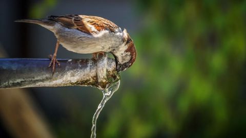 La qualité de l'eau en France a progressé ces dernières années. (©Pixabay)