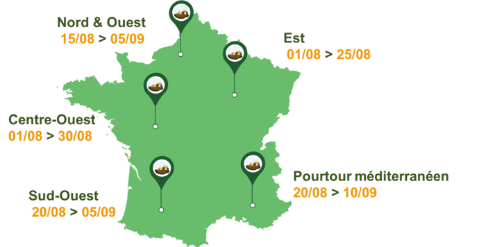 Dates de semis optimales selon la région