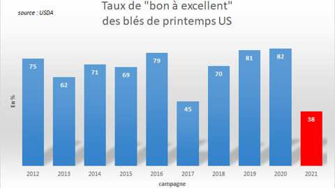 Taux de blé de printemps jugé "bon à excellent".