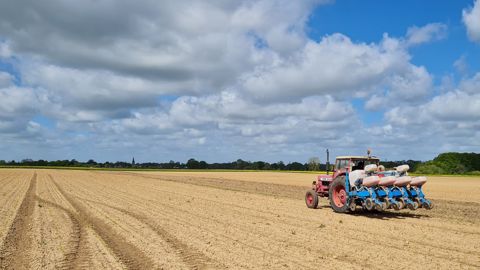 44,1 % des agriculteurs ont dû ressemer une partie de leurs cultures de printemps, à cause des dégâts d'oiseaux cette année, selon un sondage Terre-net. (©@Agriskippy/Twitter)<span style="font-size: 14px; text-align: justify; color: #000000;"> 44,1 % des agriculteurs ont dû ressemer une partie de leurs cultures de printemps, à cause des dégâts d'oiseaux cette année, selon un sondage Terre-net. (©@Agriskippy/Twitter)<span style="font-size: 14px; text-align: justify; color: #000000;">