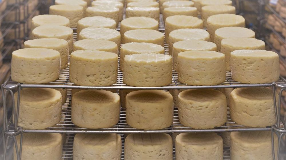 Près de 70 % des lecteurs de web-agri ne souhaitent pas se lancer en circuits courts. (©Pixabay)