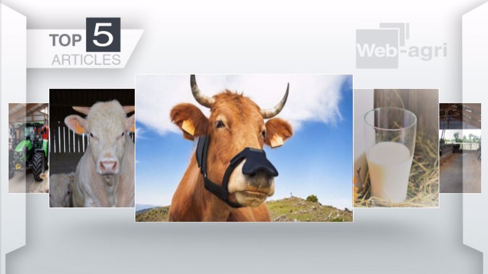 Articles les plus lus sur Web-agri cette semaine. (©Terre-net Média) Articles les plus lus sur Web-agri cette semaine. (©Terre-net Média)