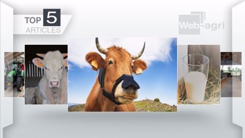 Articles les plus lus sur Web-agri cette semaine. (©Terre-net Média) Articles les plus lus sur Web-agri cette semaine. (©Terre-net Média)
