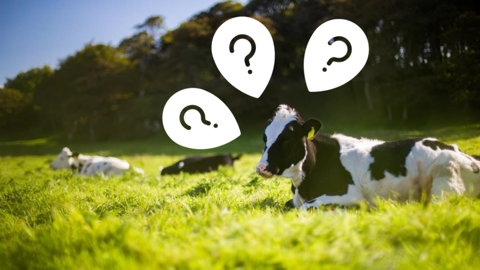 Les producteurs de lait bio issus de la troisième vague de conversion font face à un avenir plus incertain. (©Infogram) Les producteurs de lait bio issus de la troisième vague de conversion font face à un avenir plus incertain. (©Infogram)