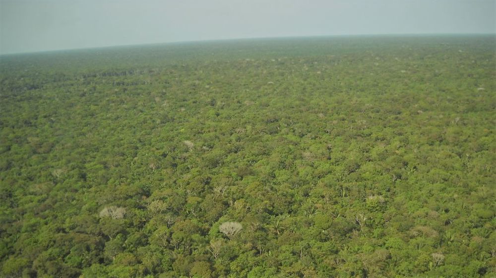 Duralim lance un Observatoire pour connaître exactement la part de soja brésilien importé responsable de déforestation. (©Pixabay)