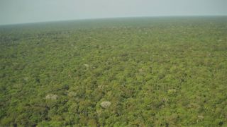 Duralim lance un Observatoire pour connaître exactement la part de soja brésilien importé responsable de déforestation. (©Pixabay) Duralim lance un Observatoire pour connaître exactement la part de soja brésilien importé responsable de déforestation. (©Pixabay)