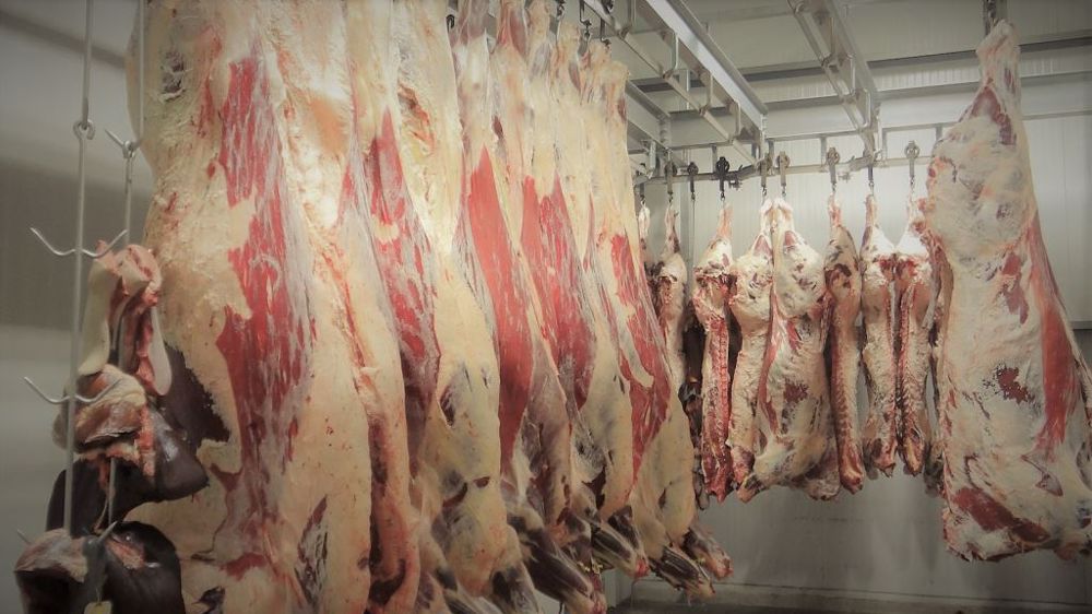 Un Nouveau Plan Pour Moderniser Les Abattoirs Lancé Par Le Ministre 6360