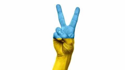 Le gouvernement ukrainien prévoit une récolte globale qui pourrait approcher les 100 millions de tonnes. (©Pixabay)