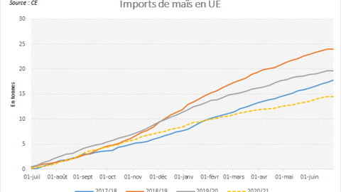 Imports de maïs en UE Imports de maïs en UE