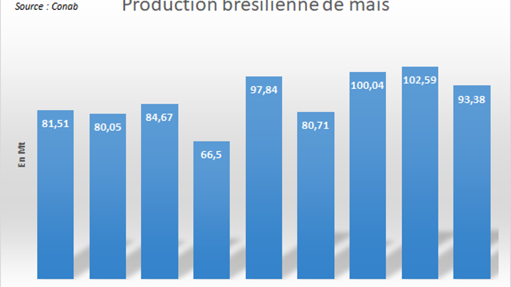 Production brésilienne de maïs