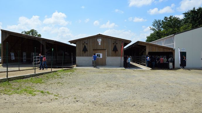 Stabulation vaches laitières semi-ouverte