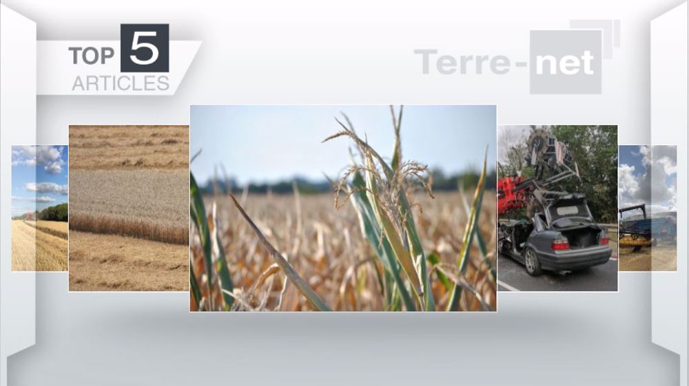Les articles de Terre-net dans le Top 5 cette semaine. (©Terre-net Média)