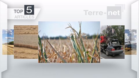 Les articles de Terre-net dans le Top 5 cette semaine. (©Terre-net Média)