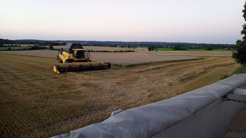 Comment se passe la moisson 2021 dans votre coin ? N'hésitez pas à laisser un commentaire. (©<a href="https://twitter.com/guill_cham" target="_blank">Guillaume Chamouleau/Twitter</a>)