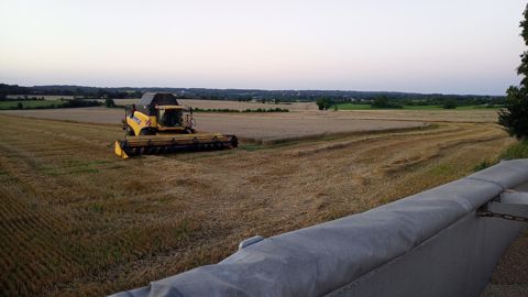 Comment se passe la moisson 2021 dans votre coin ? N'hésitez pas à laisser un commentaire. (©<a href="https://twitter.com/guill_cham" target="_blank">Guillaume Chamouleau/Twitter</a>)