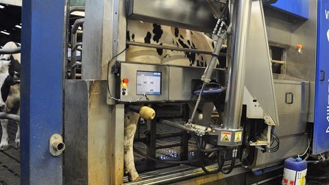 Heureusement, Frédéric a pu se faire entendre et le courant lui a été vite rétabli afin de redémarrer son robot. (Photo non contractuelle) (©Terre-net Média) Heureusement, Frédéric a pu se faire entendre et le courant lui a été vite rétabli afin de redémarrer son robot. (Photo non contractuelle) (©Terre-net Média)