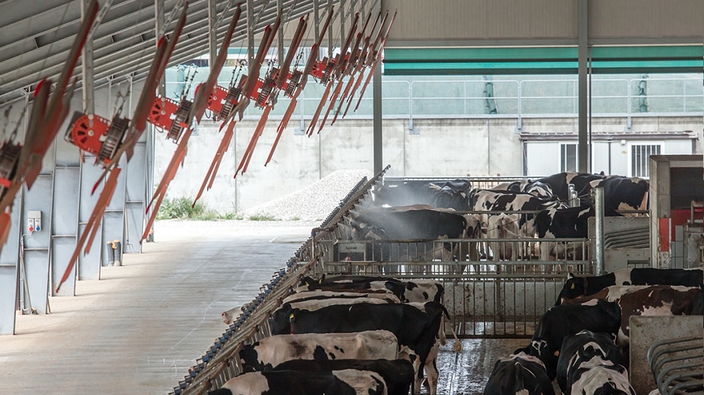 La ventilation est important pour assurer un bon séchage des animaux (©ATM) La ventilation est important pour assurer un bon séchage des animaux (©ATM)