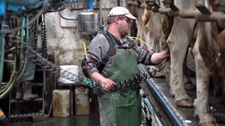 Ergosanté présente son exosquelette pour soulager les épaules du trayeur Ergosanté présente son exosquelette pour soulager les épaules du trayeur