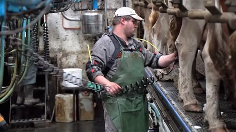 Ergosanté présente son exosquelette pour soulager les épaules du trayeur Ergosanté présente son exosquelette pour soulager les épaules du trayeur