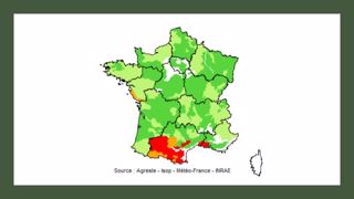 Pousse de l’herbe au 20 juillet 2021 : En rouge : déficit important (75 % et moins) ; En orange : déficit faible (de plus de 75 % à 90 %) ; En vert clair : normale (de plus de 90 % à 110 %) ; En vert foncé : excédent (plus de 110 %). (©Agreste) Pousse de l’herbe au 20 juillet 2021 : En rouge : déficit important (75 % et moins) ; En orange : déficit faible (de plus de 75 % à 90 %) ; En vert clair : normale (de plus de 90 % à 110 %) ; En vert foncé : excédent (plus de 110 %). (©Agreste)